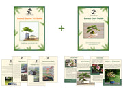 Chinese Elm-Simply Bonsai NZ-[Bonsai NZ]-[Buy bonsai NZ]-[Bonsai Tree NZ]-Simply Bonsai NZ