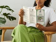 Erica-Simply Bonsai NZ-[Bonsai NZ]-[Buy bonsai NZ]-[Bonsai Tree NZ]-Simply Bonsai NZ