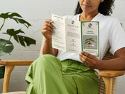 Erica-Simply Bonsai NZ-[Bonsai NZ]-[Buy bonsai NZ]-[Bonsai Tree NZ]-Simply Bonsai NZ