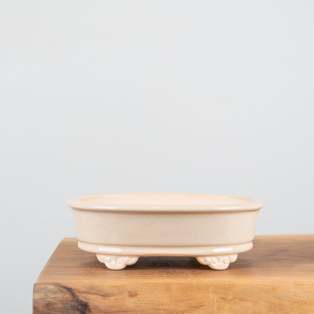 Premium Bonsai Pots-Simply Bonsai NZ-[Bonsai NZ]-[Buy bonsai NZ]-[Bonsai Tree NZ]-Simply Bonsai NZ