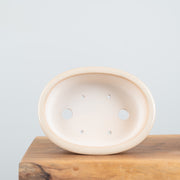 Premium Bonsai Pots-Simply Bonsai NZ-[Bonsai NZ]-[Buy bonsai NZ]-[Bonsai Tree NZ]-Simply Bonsai NZ