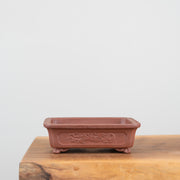 Premium Bonsai Pots-Simply Bonsai NZ-[Bonsai NZ]-[Buy bonsai NZ]-[Bonsai Tree NZ]-Simply Bonsai NZ