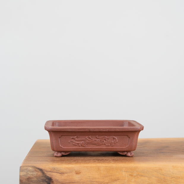 Premium Bonsai Pots-Simply Bonsai NZ-[Bonsai NZ]-[Buy bonsai NZ]-[Bonsai Tree NZ]-Simply Bonsai NZ