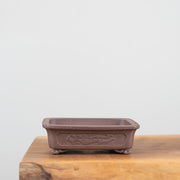 Premium Bonsai Pots-Simply Bonsai NZ-[Bonsai NZ]-[Buy bonsai NZ]-[Bonsai Tree NZ]-Simply Bonsai NZ