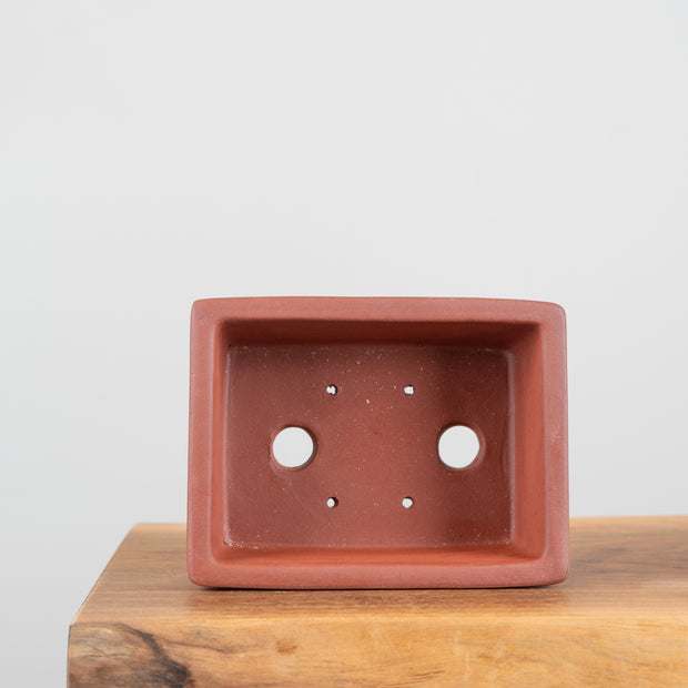 Premium Bonsai Pots-Simply Bonsai NZ-[Bonsai NZ]-[Buy bonsai NZ]-[Bonsai Tree NZ]-Simply Bonsai NZ