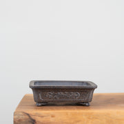 Premium Bonsai Pots-Simply Bonsai NZ-[Bonsai NZ]-[Buy bonsai NZ]-[Bonsai Tree NZ]-Simply Bonsai NZ