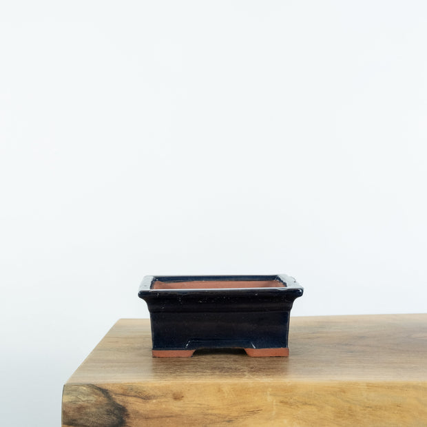 Standard Bonsai Pots (6")-Tools-Simply Bonsai-[Bonsai NZ]-[Buy bonsai NZ]-[Bonsai Tree NZ]-Simply Bonsai NZ