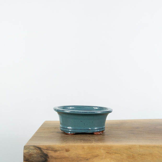 Standard Bonsai Pots (6")-Tools-Simply Bonsai-[Bonsai NZ]-[Buy bonsai NZ]-[Bonsai Tree NZ]-Simply Bonsai NZ