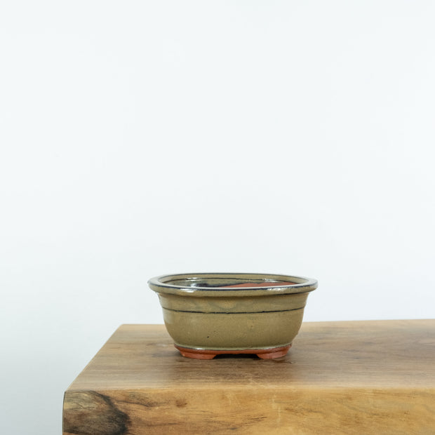 Standard Bonsai Pots (6")-Tools-Simply Bonsai-[Bonsai NZ]-[Buy bonsai NZ]-[Bonsai Tree NZ]-Simply Bonsai NZ