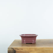 Standard Bonsai Pots (6")-Tools-Simply Bonsai-[Bonsai NZ]-[Buy bonsai NZ]-[Bonsai Tree NZ]-Simply Bonsai NZ