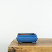 Standard Bonsai Pots (6")-Tools-Simply Bonsai-[Bonsai NZ]-[Buy bonsai NZ]-[Bonsai Tree NZ]-Simply Bonsai NZ