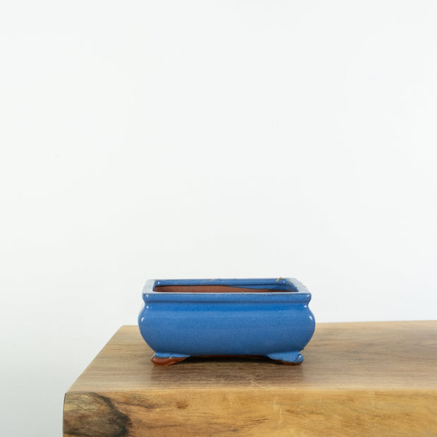 Standard Bonsai Pots (6")-Tools-Simply Bonsai-[Bonsai NZ]-[Buy bonsai NZ]-[Bonsai Tree NZ]-Simply Bonsai NZ